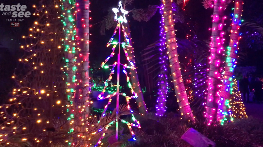 PHOTOS Christmas lights at the Florida Botanical Gardens in Largo